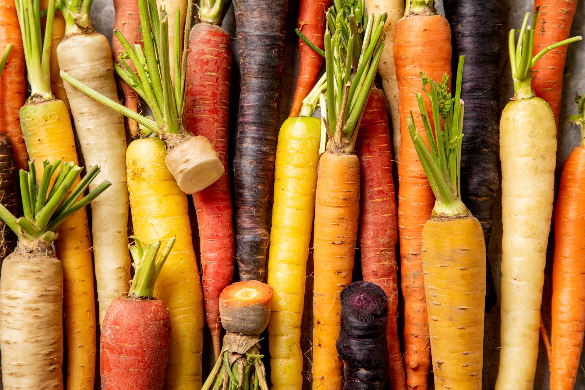 EXBERRY® alimentos colorantes